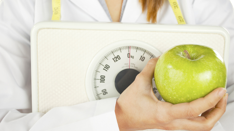 the atkins diet essay the atkins diet essay